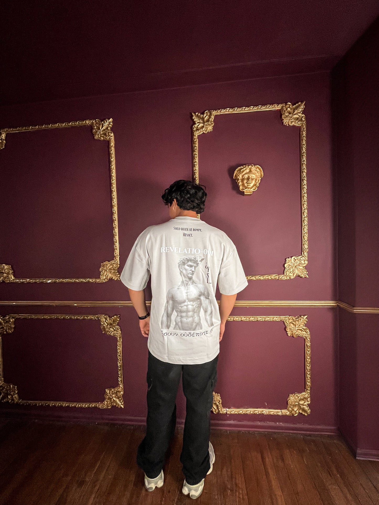 Camiseta Grey Edition — REVELATIO-001 (Oversize 250 GSM) (Ultra rare 1/10)